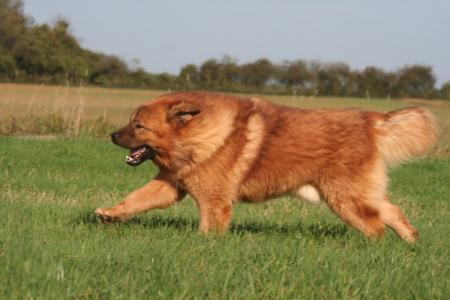 UNE BALLADE
